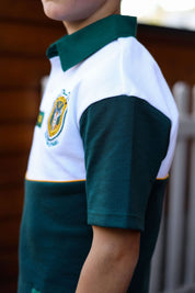 CA JNR Supporters Jersey S/S | Gold Stripe